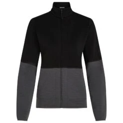 Icebreaker Women's Merino 400 RealFleece Descender L/S Zip - Merinojacke